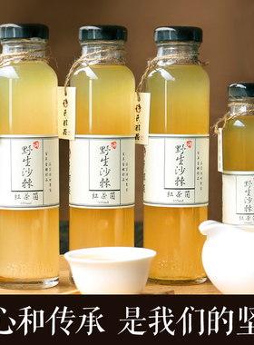 正宗传统红茶菌 菌种母菌胃宝海宝醋蛾 母醋 彩色说明书