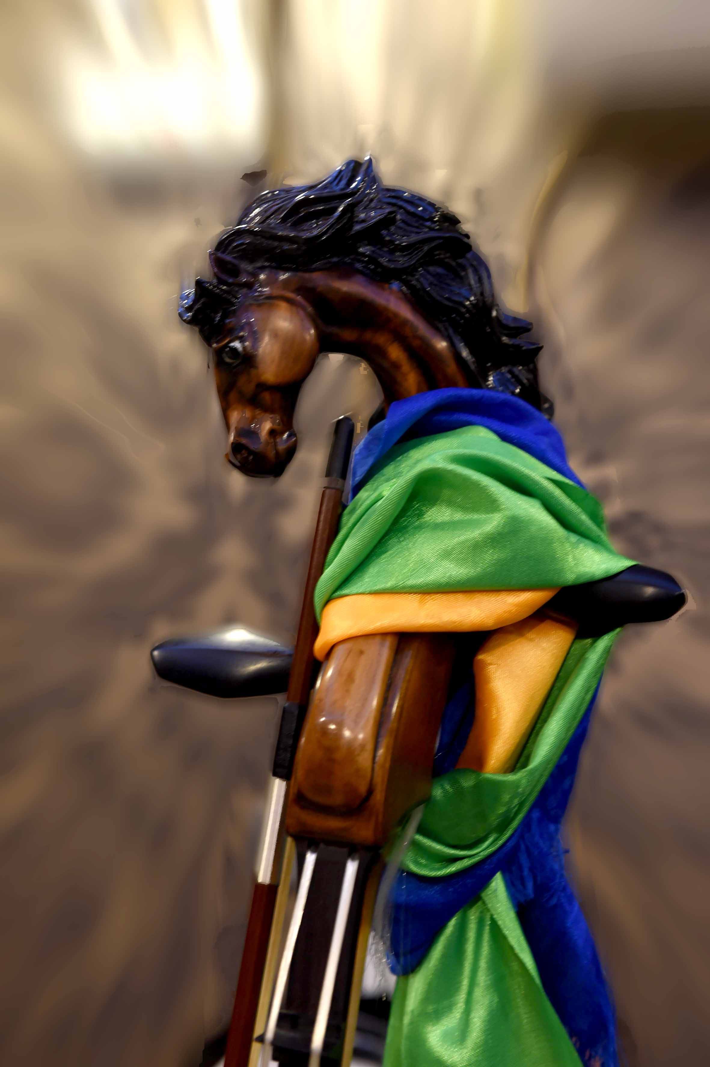 一位马头琴帅锅的深圳乐与路