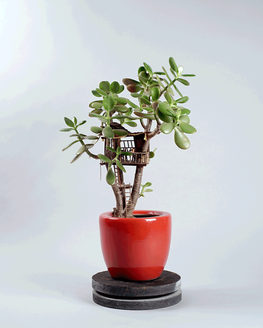 864_1080竖版 竖屏gif 动态图 动图