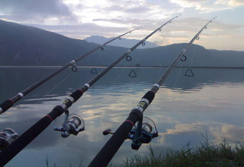 台钓抛竿,一抛一个准儿!