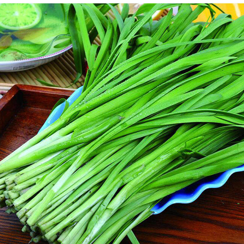 慢厨房之懒人小炒韭菜炒鸡蛋 - 天猫精选