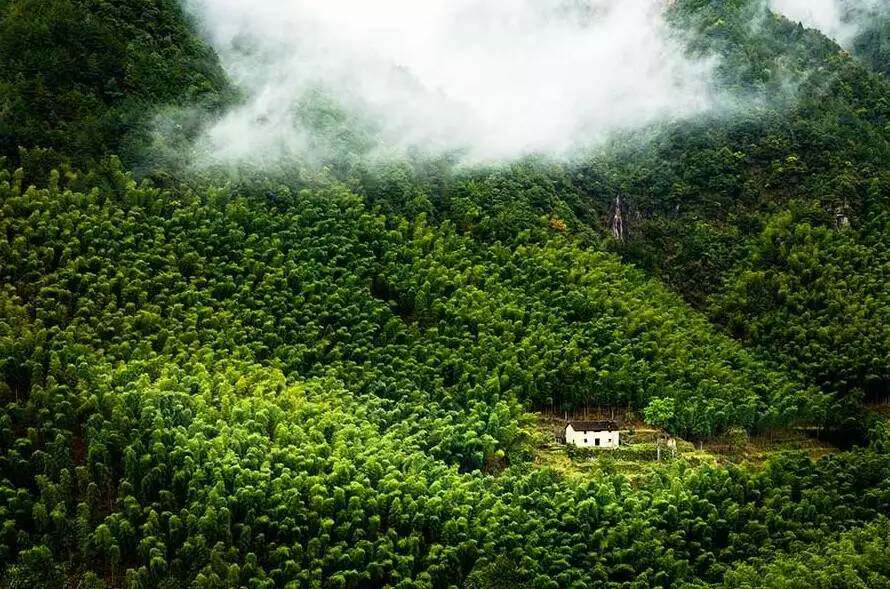 很多人都有一个梦想: 等我们老了, 就归隐山林吧和心爱的人一起