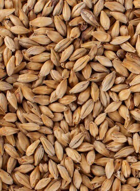 爱逛街为您找到五贝子精油相关的宝贝,您可以在下面