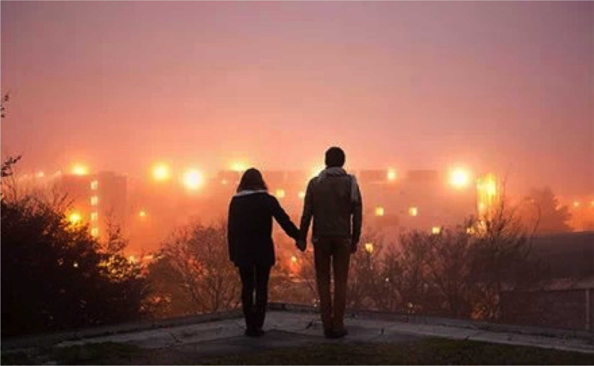 秋季【大走桃花运】星座