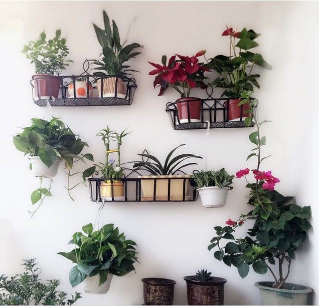 铁艺花架子壁挂式 绿萝吊兰阳台盆栽花架实木上墙置物架收纳