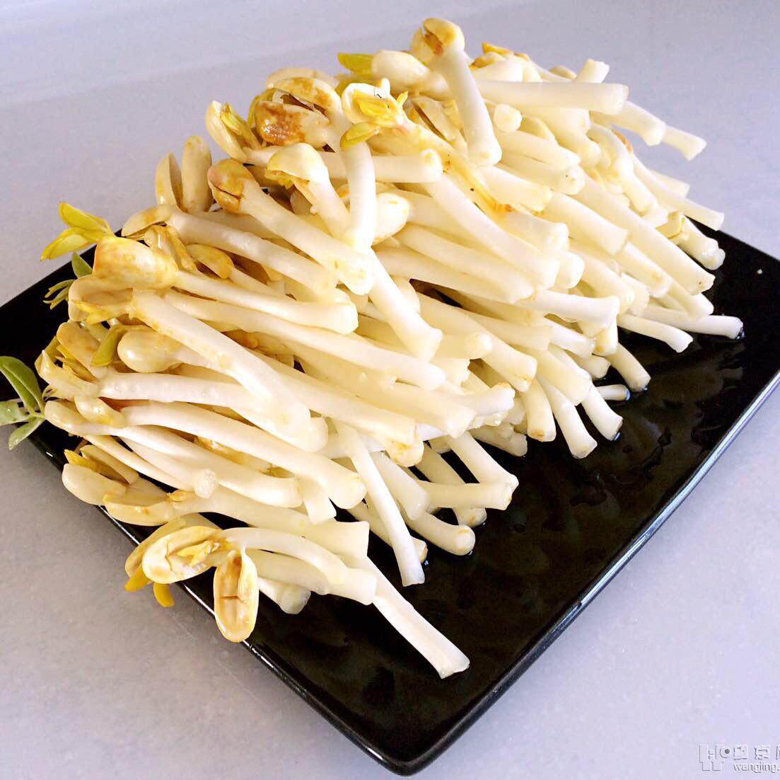 真空包装发货农产品新鲜有机花生芽 长寿芽