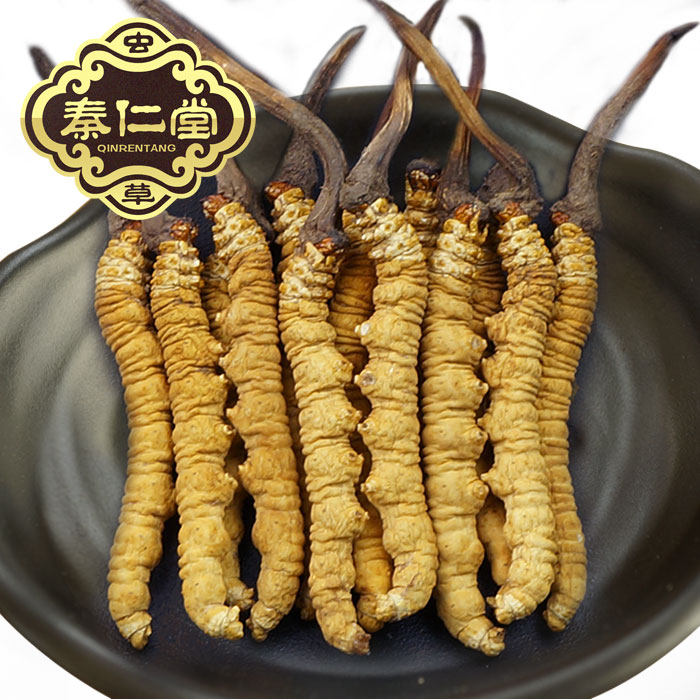 秦仁堂 冬虫夏草正品 青海玉树野生虫草5~6根