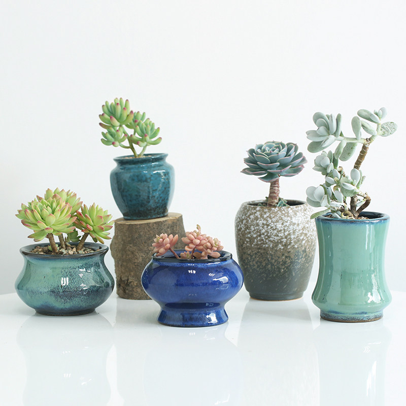 十月第一期最美买家秀出炉啦!