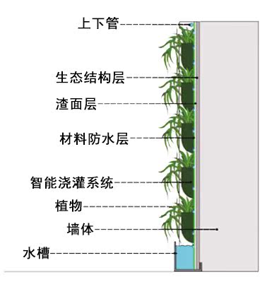 把更多清新空气带入办公室——植物墙