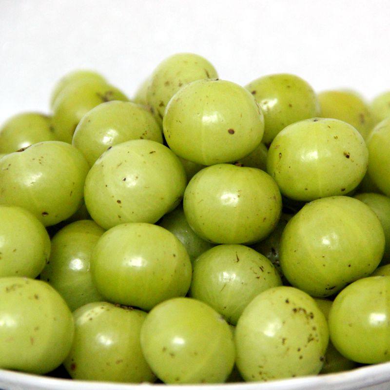 广西水果特产 牛甘果 余甘 牛甘子 余甘子 滇