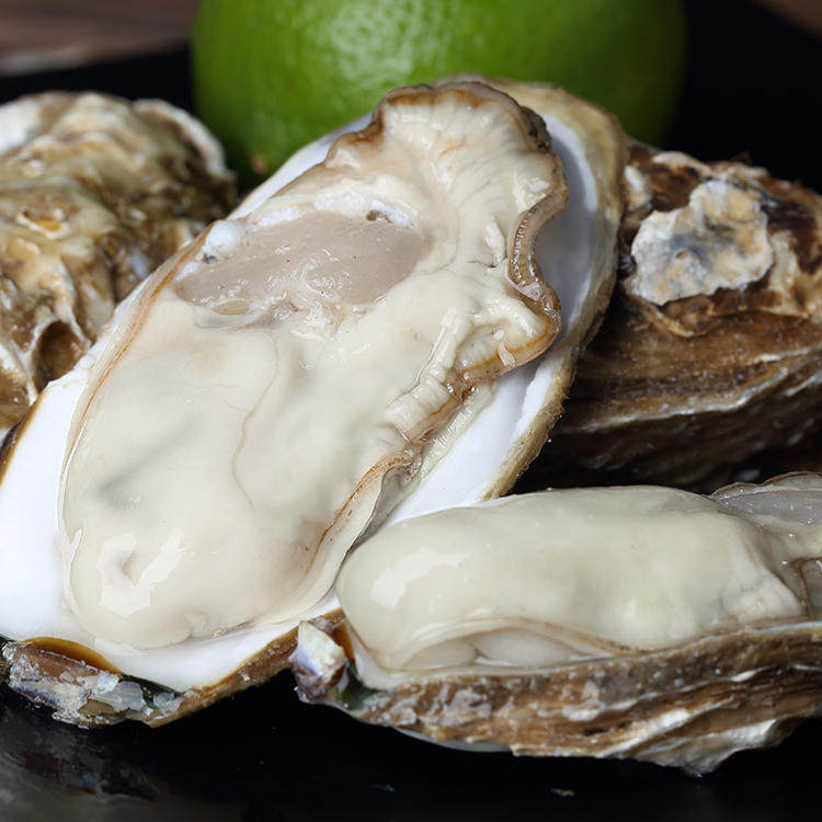 正宗鲜活乳山生蚝牡蛎 新鲜现捞肉大生蚝 海蛎子5斤装顺丰包邮