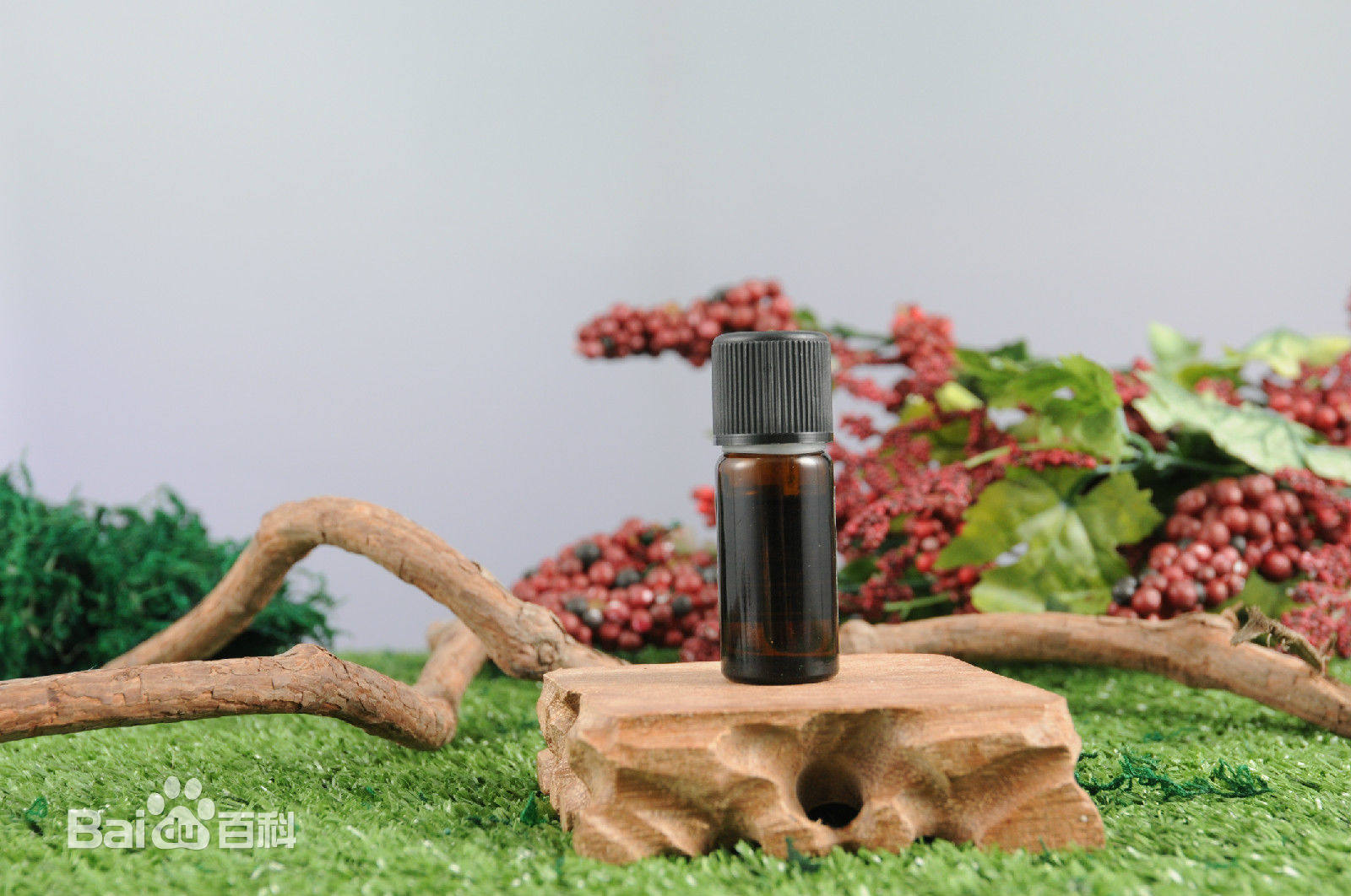 来一瓶纯植物精油,给您增添生活品质,赞哦!