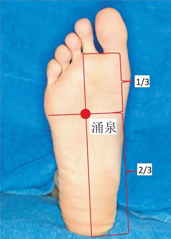 排除五臟毒素