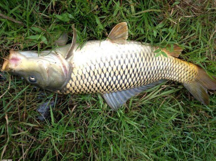 想钓大鱼?送你三个绝密配方!