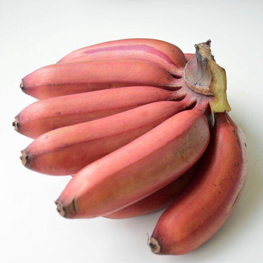 南洋红香蕉 台湾红美人香蕉 新鲜孕妇水果无催熟剂不泡药4斤包邮