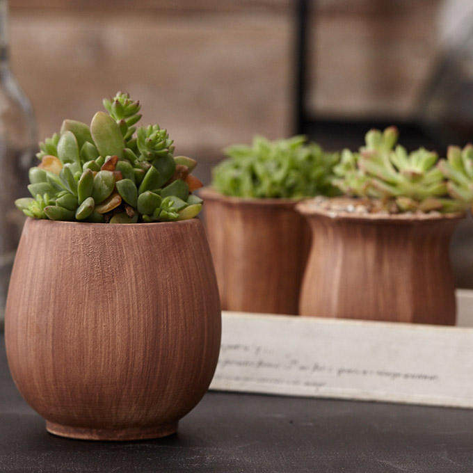 多肉花盆陶瓷花盆素陶花盆多肉植物花盆花器个性素烧粗陶花盆花器