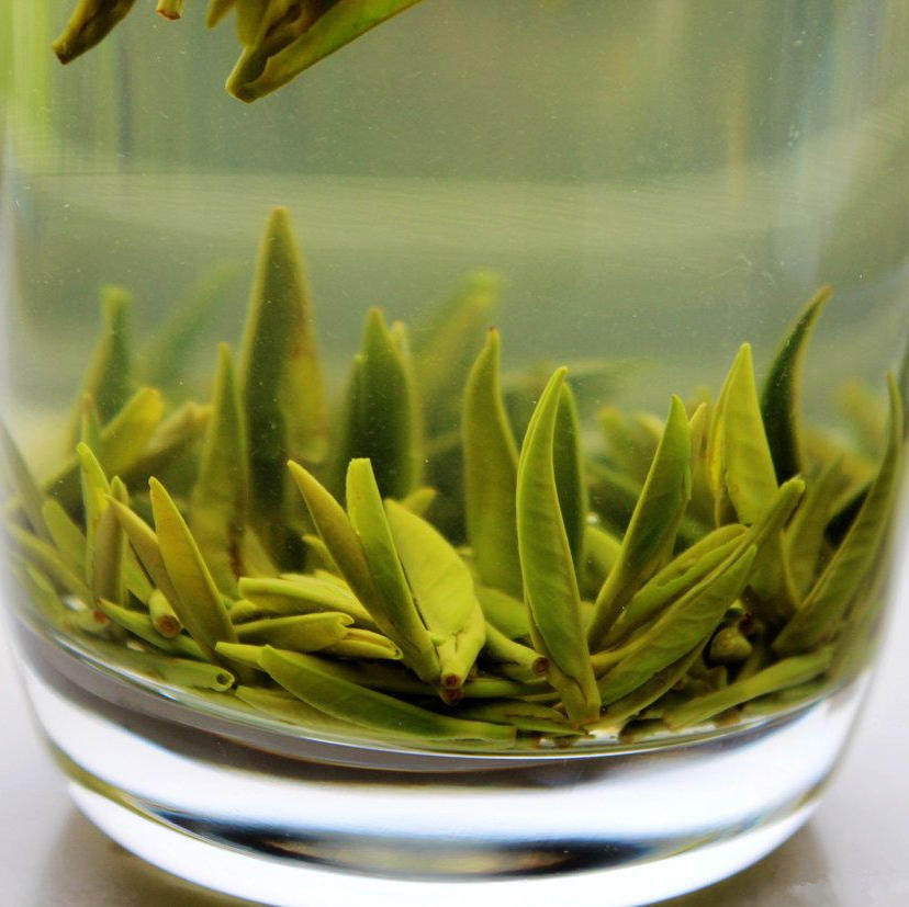 特级 竹叶青 茶 明前茶 雀舌茶 春茶 茶叶绿茶