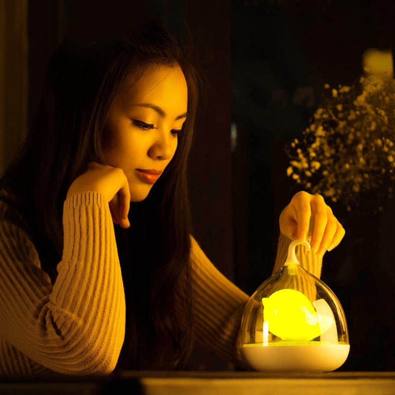 永远为你而亮的那一盏灯