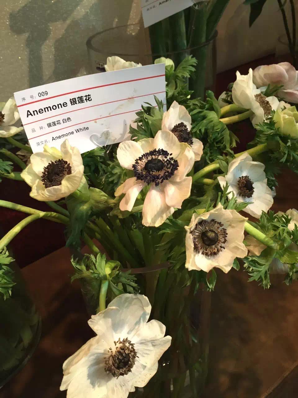 银莲花也是白搭女王,适合田园风的花束.