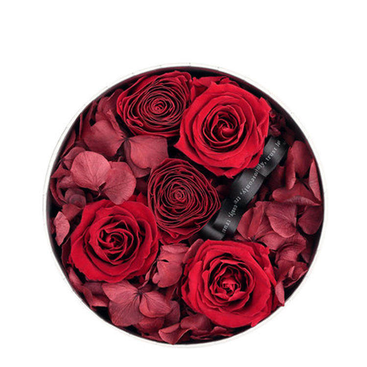roseonly圣诞节永生花进口红玫瑰花礼盒干花保