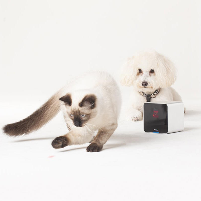 【petcube 交互式 wi-fi 寵物相機】