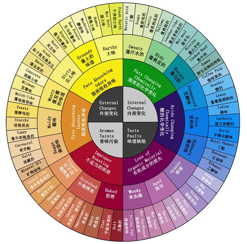 咖啡风味轮2020图片
