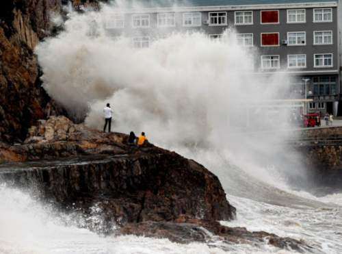 强台风来袭 抱树抱人抱电线杆!