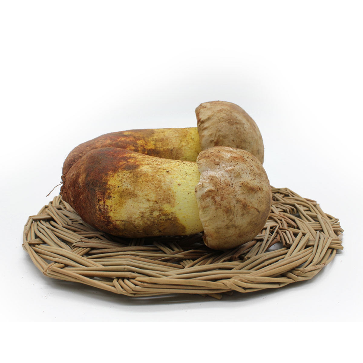 【拾蘑菇】 2016新鲜白牛肝菌 白葱  精选