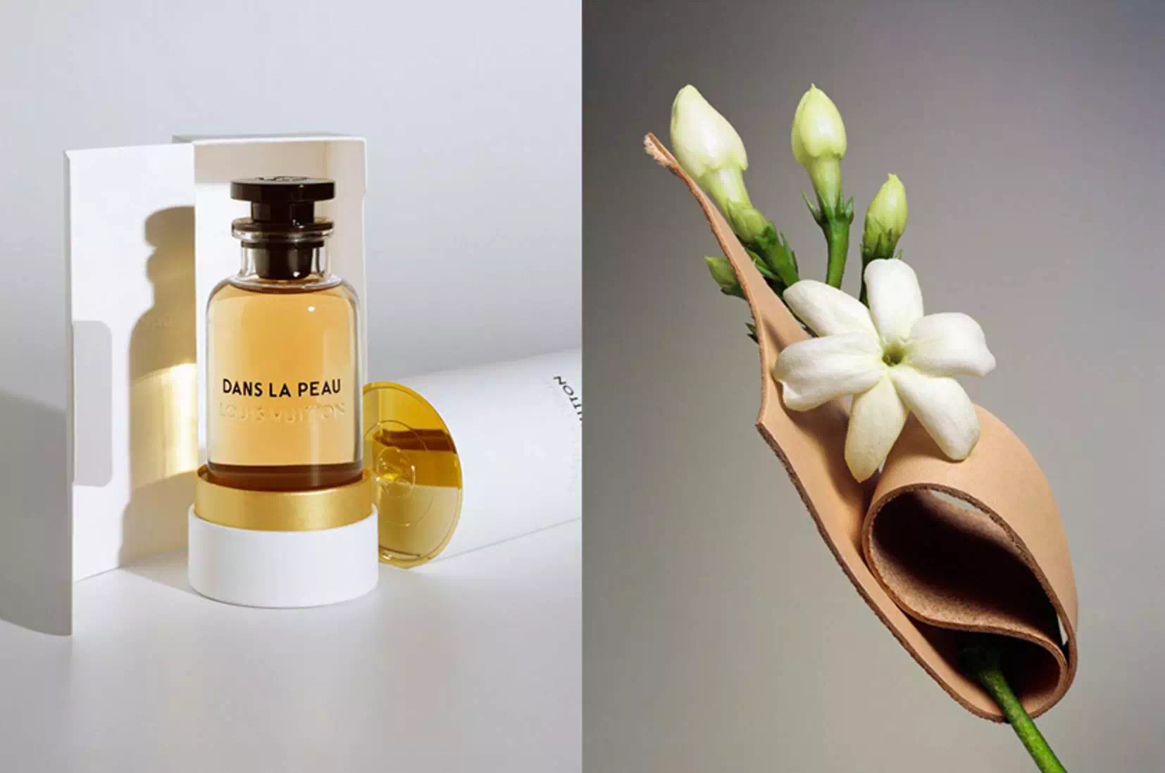 香调:晚香玉,双瓣茉莉,格拉斯茉莉,木兰花,五月玫瑰,vvn皮革 评价