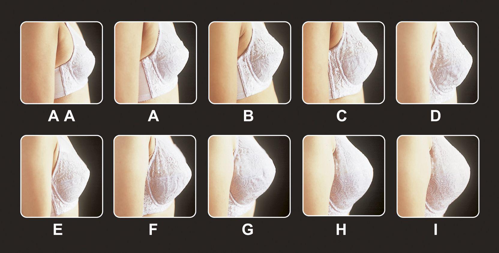 罩杯主要用来衡量女性胸部的大小,一般指胸部的平坦程度,胸部凸起得越