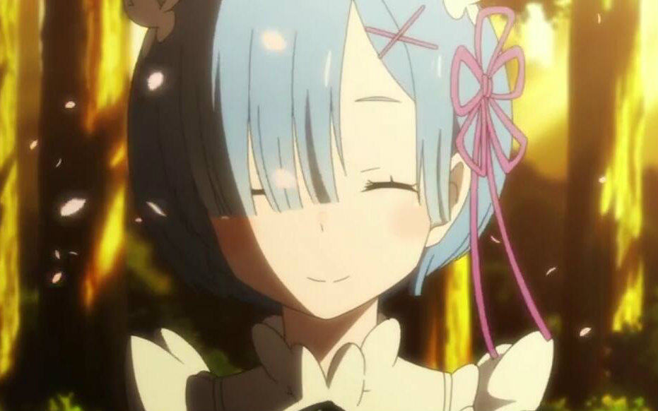 蕾姆小天使的笑容由我们来守护!