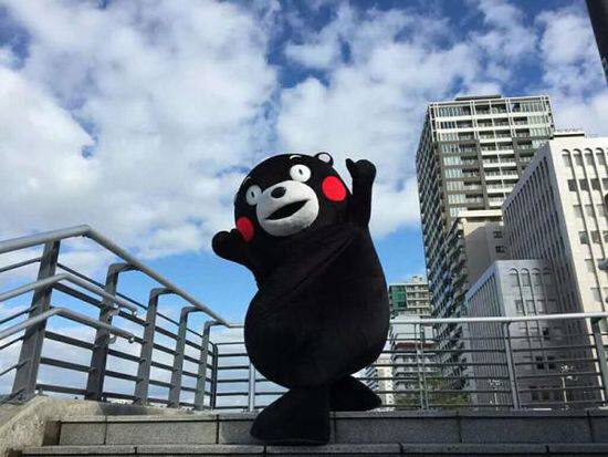 越热越爱玩#熊本熊为何这么火?