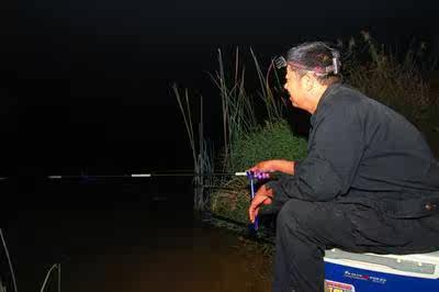 夏季夜钓正当时 一些简单知识