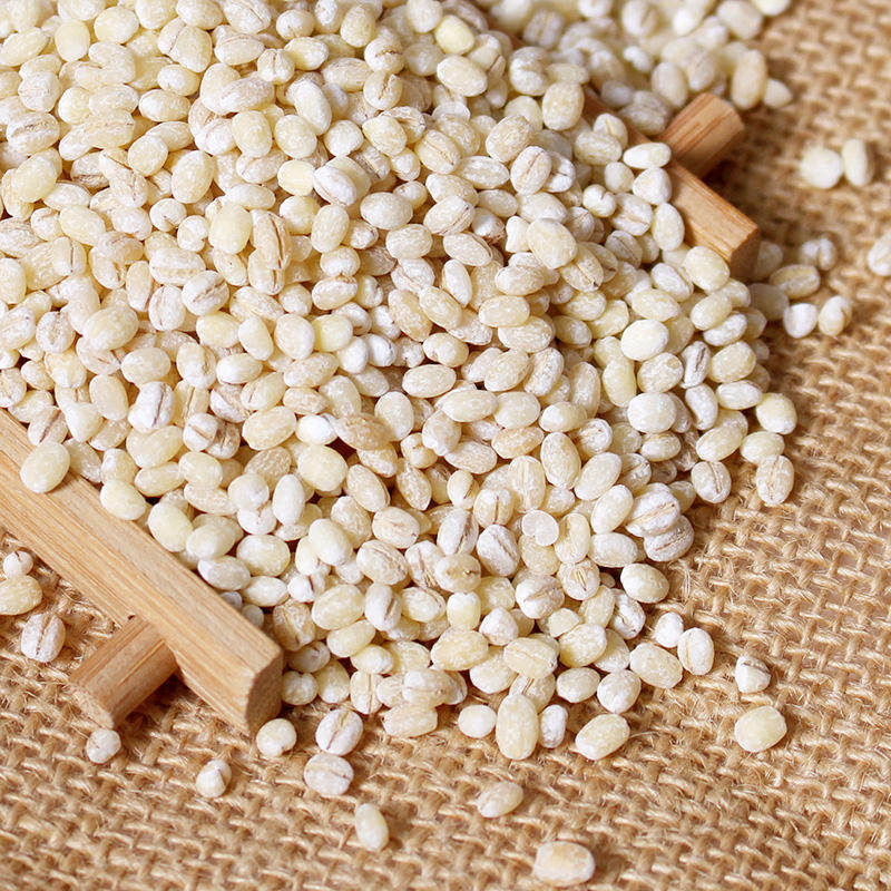 白桦益康 荷兰进口小薏米1000g进口薏仁米苡仁