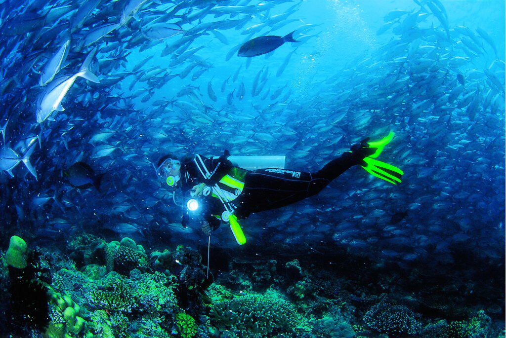 4,潜水 巴厘岛是最受欢迎的潜水圣地之一.