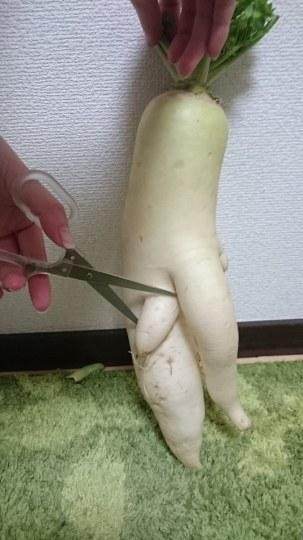 用剪刀对准关键部位,来个特写.