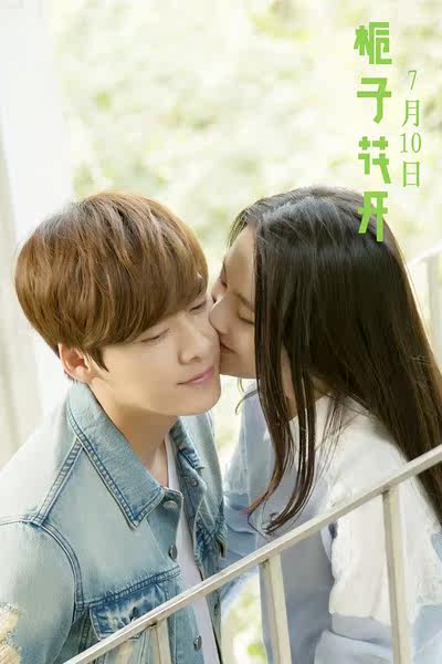 峰狂梦想家|《栀子花开》花开时许诺一个韩式梦