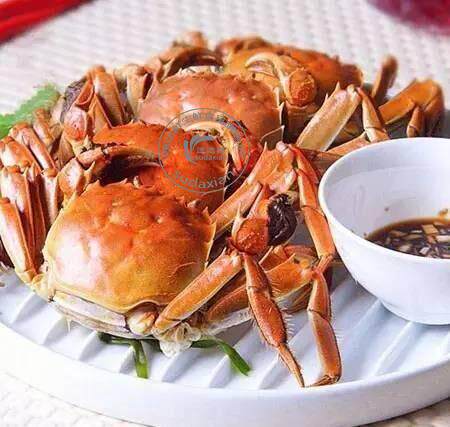 9月黄多油满的大闸蟹,要这样吃才够爽!