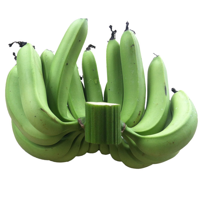 香蕉banana 高州新鲜水果有机青香蕉 非海南小米蕉芭蕉 5斤包邮