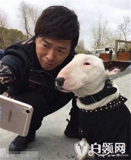 孙红雷在《极限挑战2》中与牛头梗魔性撞脸,黄渤对着自己的狗狗狂笑道