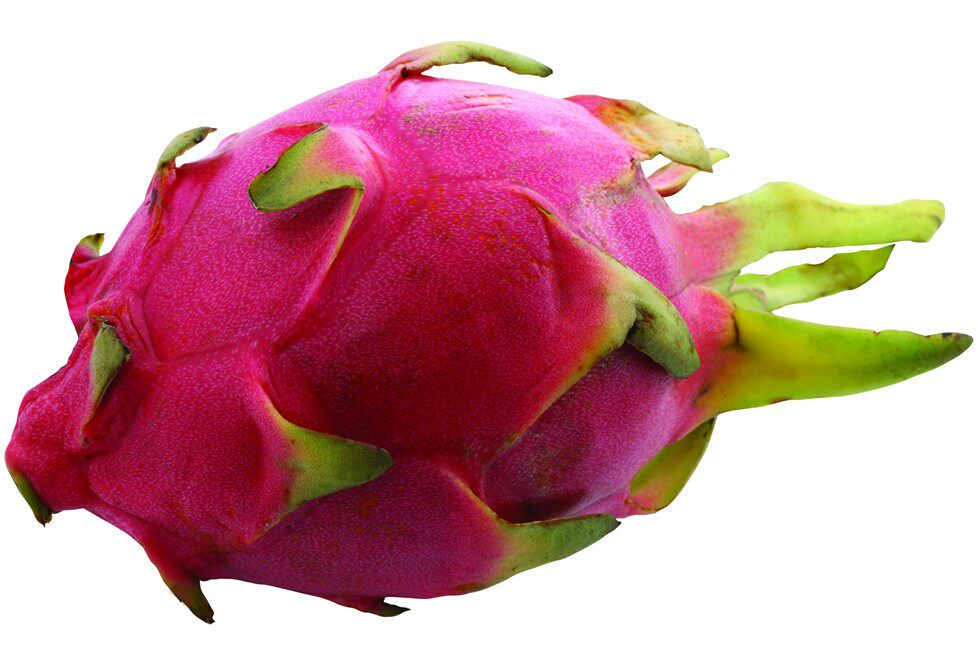 你知道红心火龙果和白心火龙果的区别吗?