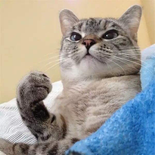 天猫精选