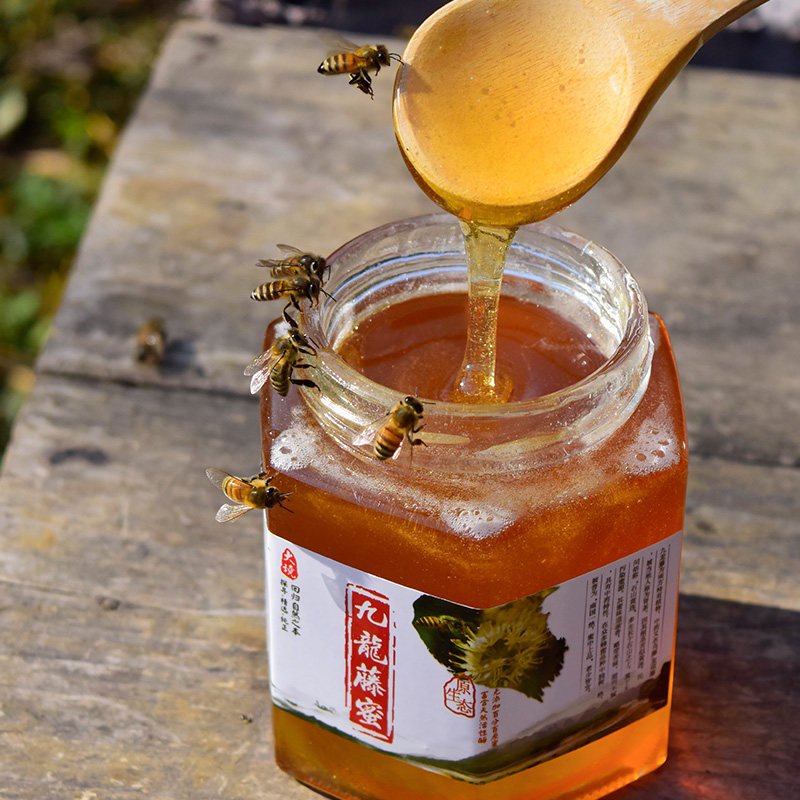 广西深山无污染 野生九龙藤蜂蜜 纯天然农家自产成熟原蜜 赛进口