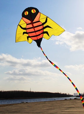 00       春日***人味   发布了  勤劳的蜜蜂造型风筝,形象逼真,稳定