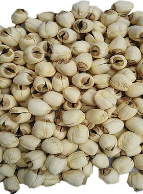 新鲜莲子米 嫩莲藕籽农家现采现剥莲蓬青籽 湖北特产生吃零食特价