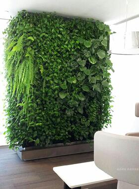 仿真玫瑰花装饰墙婚礼植物墙绿植墙背景墙室内客厅草坪绿化墙壁挂