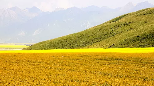 大坂山图片