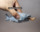 美国正版噬人鲨仿真动物玩具公仔 11.5cm 捏鲨鱼肚子腿会往外蹬 mini 0