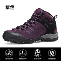 Фиолетовый высокий уровень