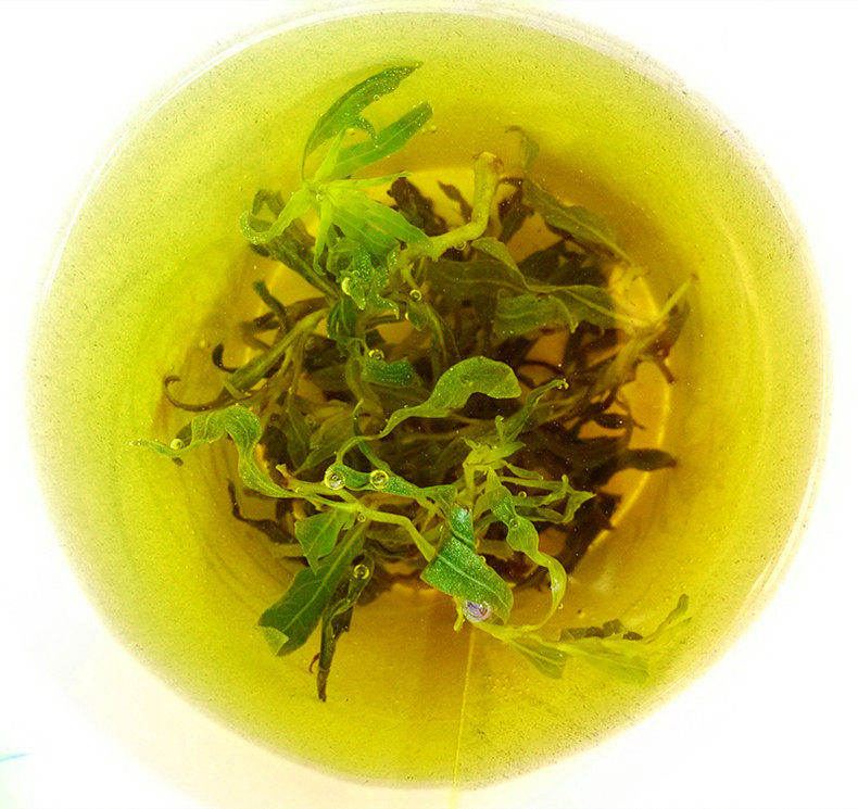 宁夏特产中宁枸杞芽尖茶无果苟杞叶茶补肾降压降糖养肝养生茶50g